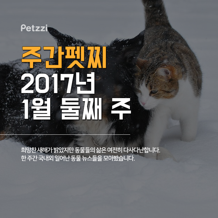 (주)펫찐 이미지