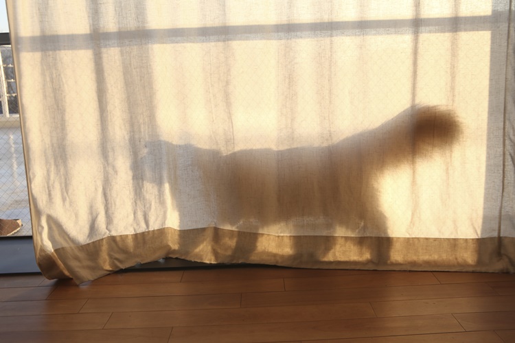 bed34952219d4b7ef990f3a829e7a80f_1483928186_9652.jpg bed34952219d4b7ef990f3a829e7a80f_1483928