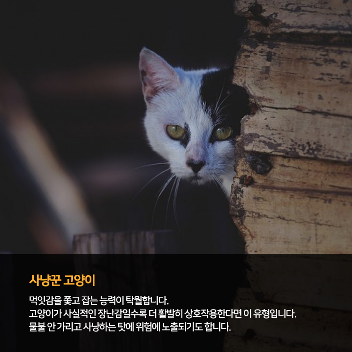 (주)펫찐 이미지
