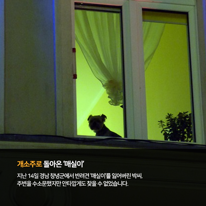 (주)펫찐 이미지