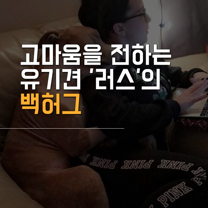 (주)펫찐 이미지