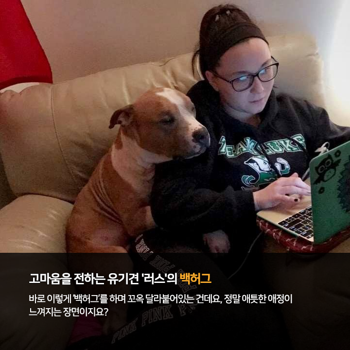 (주)펫찐 이미지