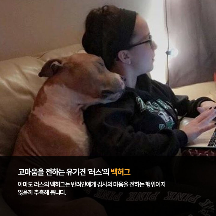 (주)펫찐 이미지