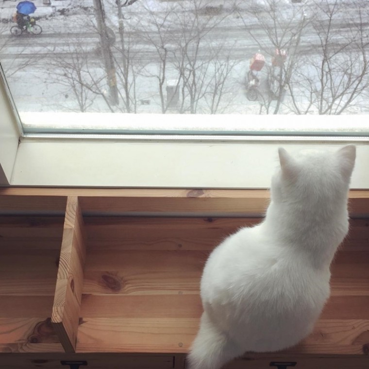 다;하리 이미지