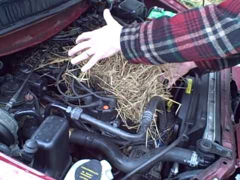 6403285feb3abb44200759488d4d0894_1500599