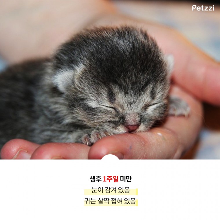a651d33d3852ca08317f667bed61ae0b_1507783