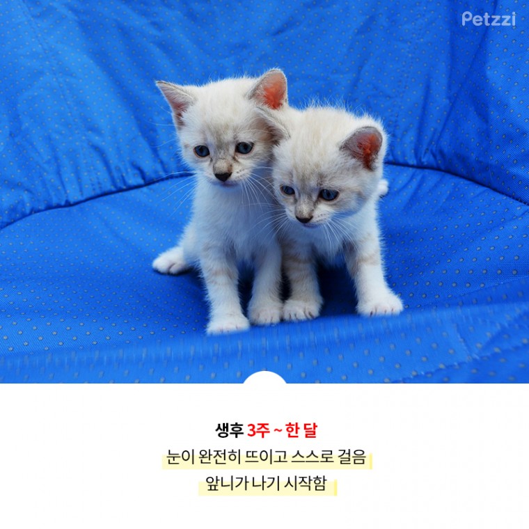 a651d33d3852ca08317f667bed61ae0b_1507783