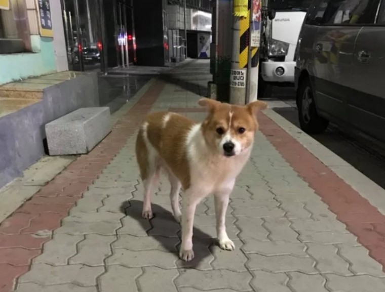 250e690096920b8d5ab4fef98fd42640_1512438