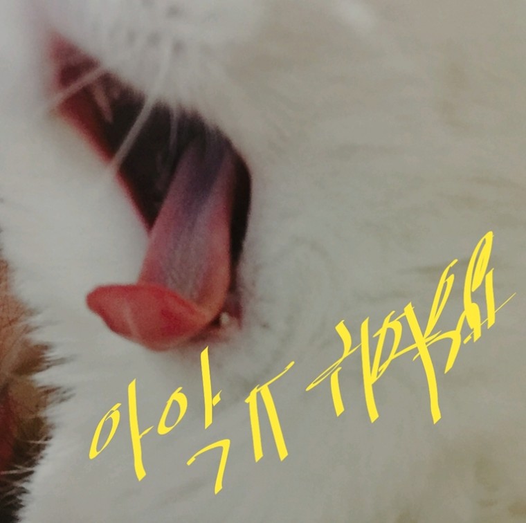 e124cafaa590cdc60b1c53077c77f1ec_1514342