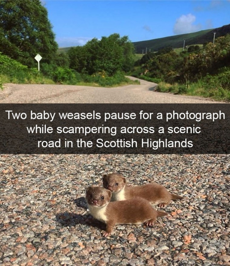 56896391585b46a5542c2df818a955bb_1535079