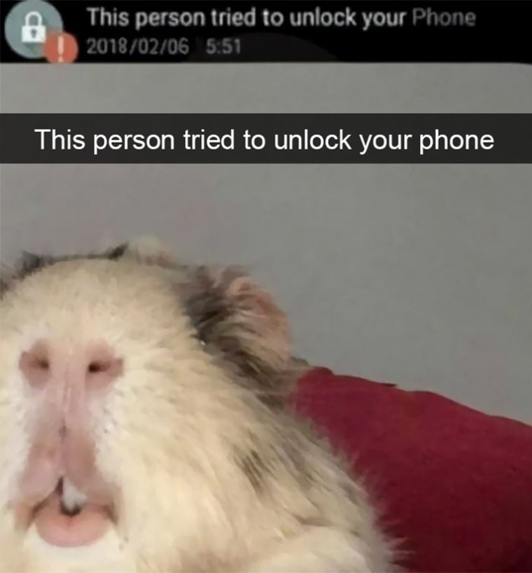 56896391585b46a5542c2df818a955bb_1535079