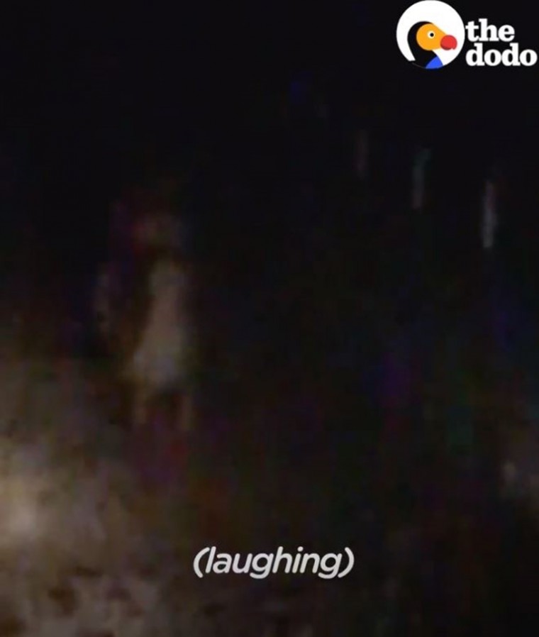 066d9ac0f6ddd6184579fe8c7ecb2c52_1539569